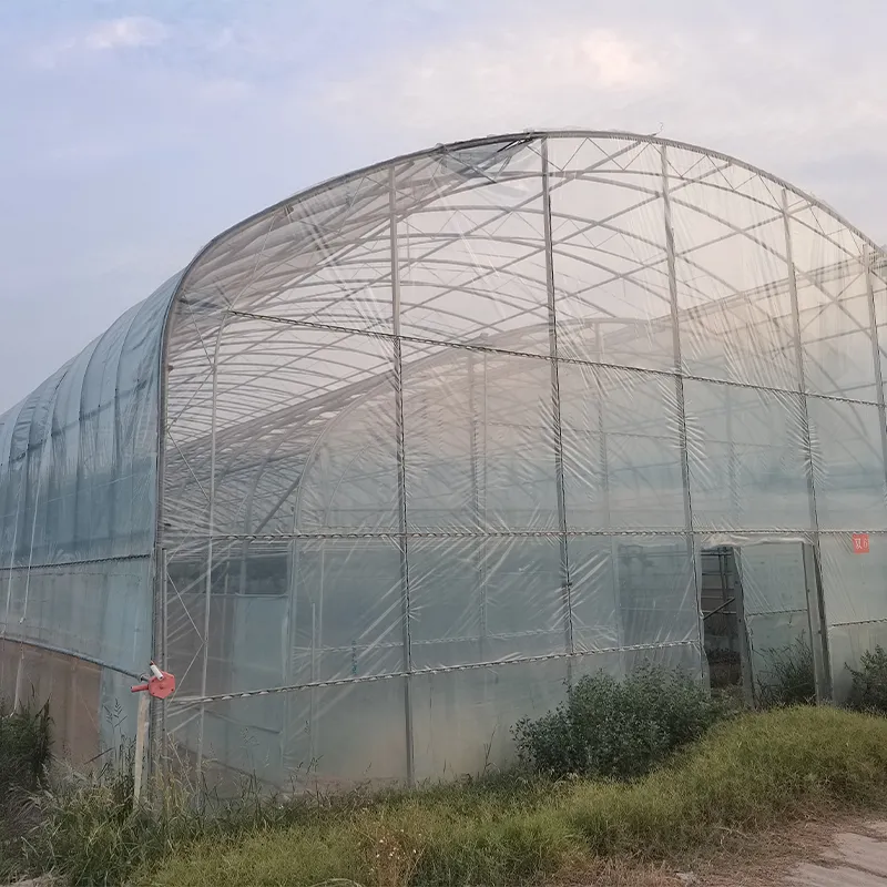 Двухарочный двухслойный одиночный парник (2)