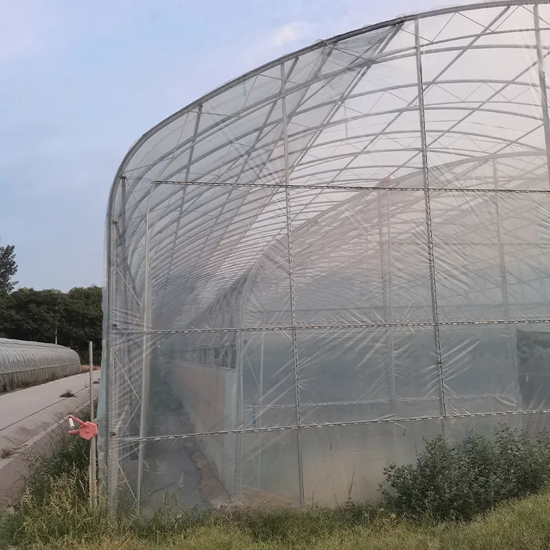 Двухарочный двухслойный одиночный парник (3)