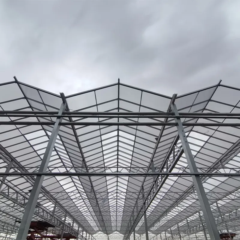 Индивидуальная теплица из 16-мм сотового поликарбоната (2)