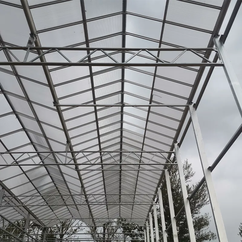 Индивидуальная теплица из 16-мм сотового поликарбоната (3)