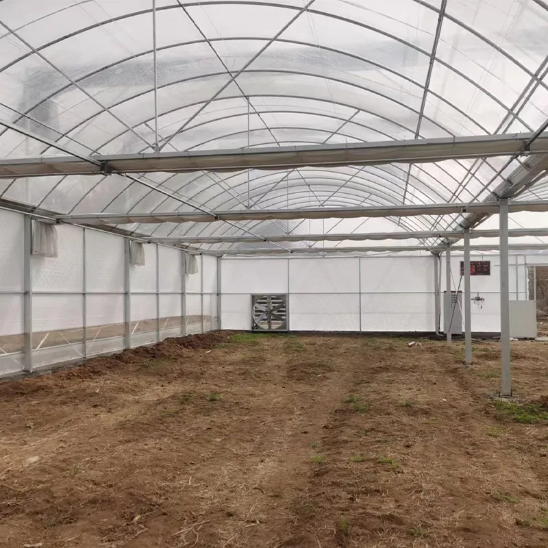 Многопролётные плёночные теплицы (2)