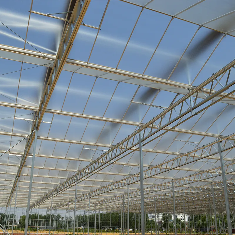 Научно-исследовательская теплица (2)