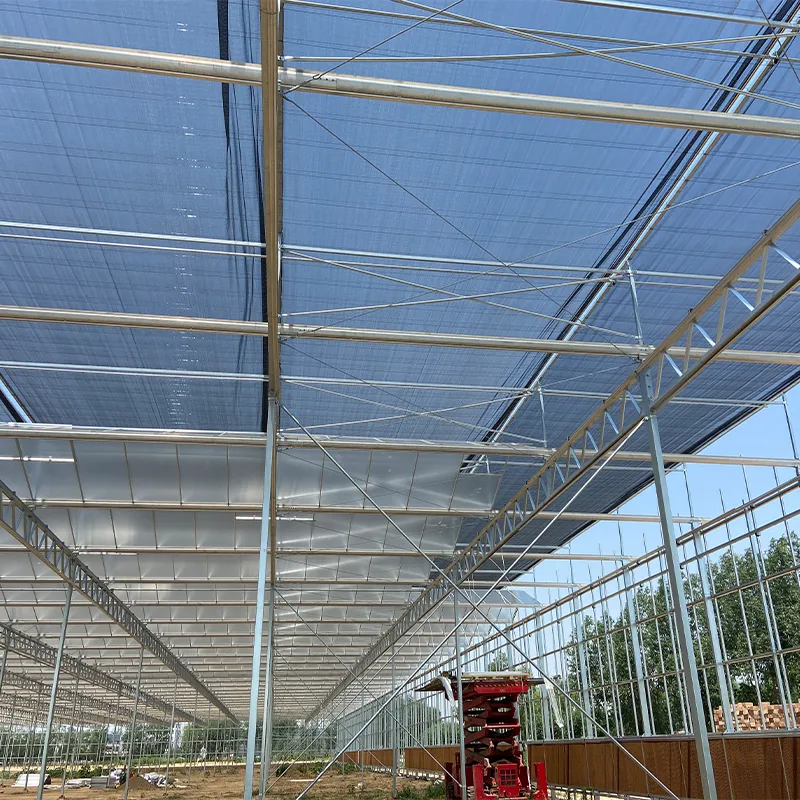 Научно-исследовательская теплица (4)