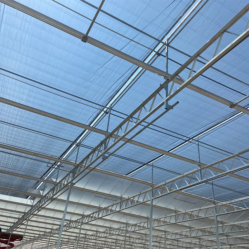 Научно-исследовательская теплица (5)