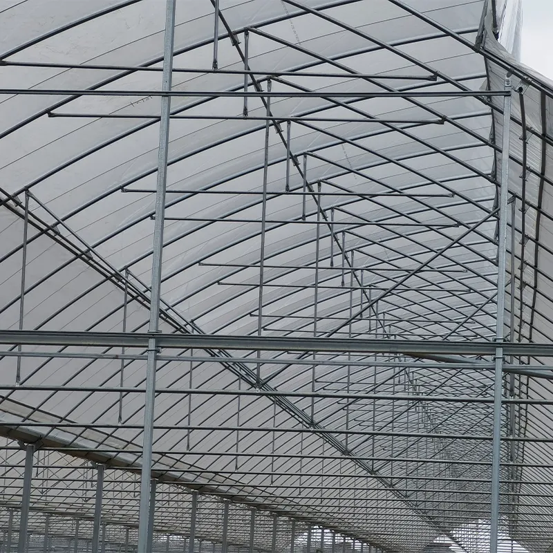 Пилообразные плёночные теплицы (2)