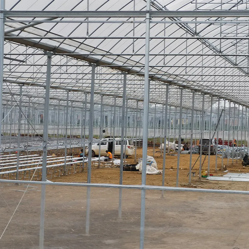 Пилообразные плёночные теплицы (3)