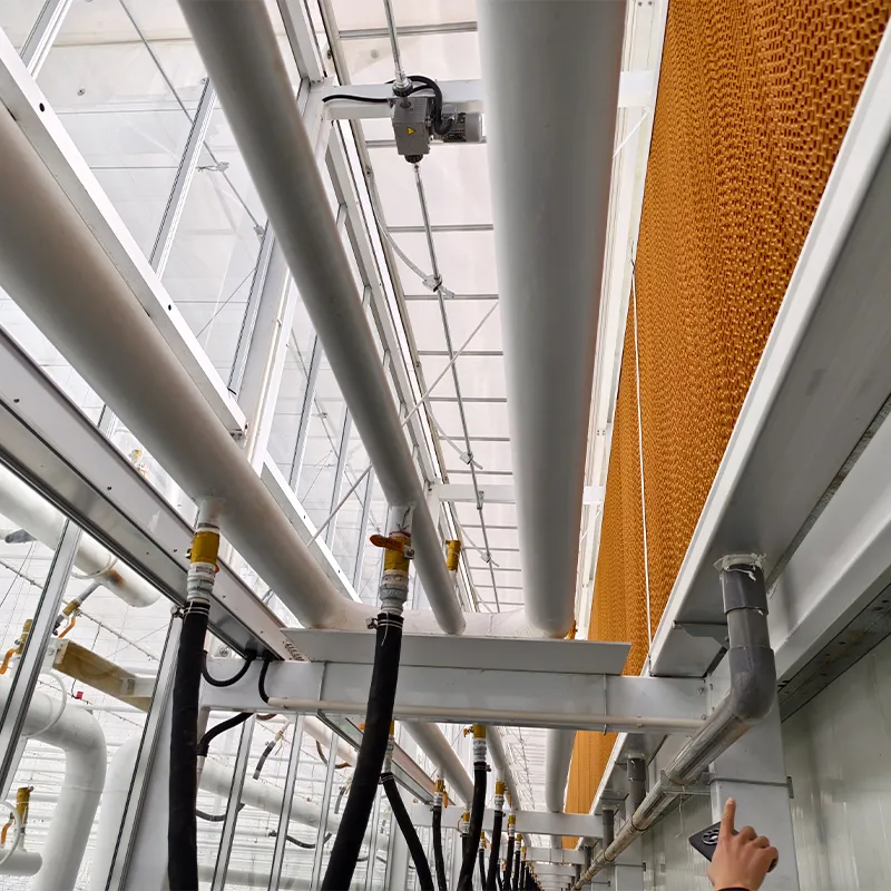 Полузакрытая теплица (3)