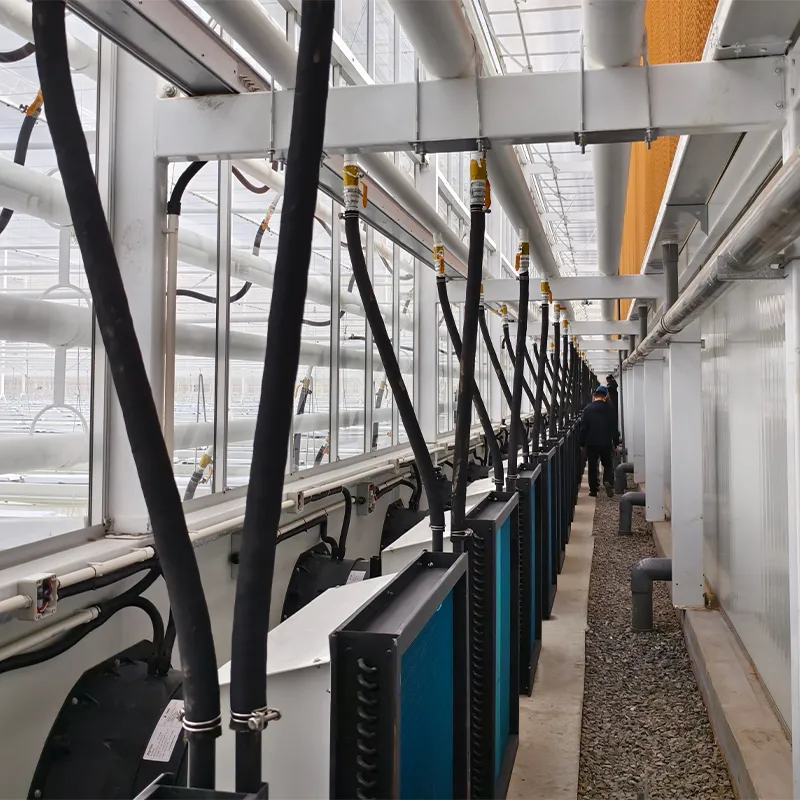 Полузакрытая теплица (4)