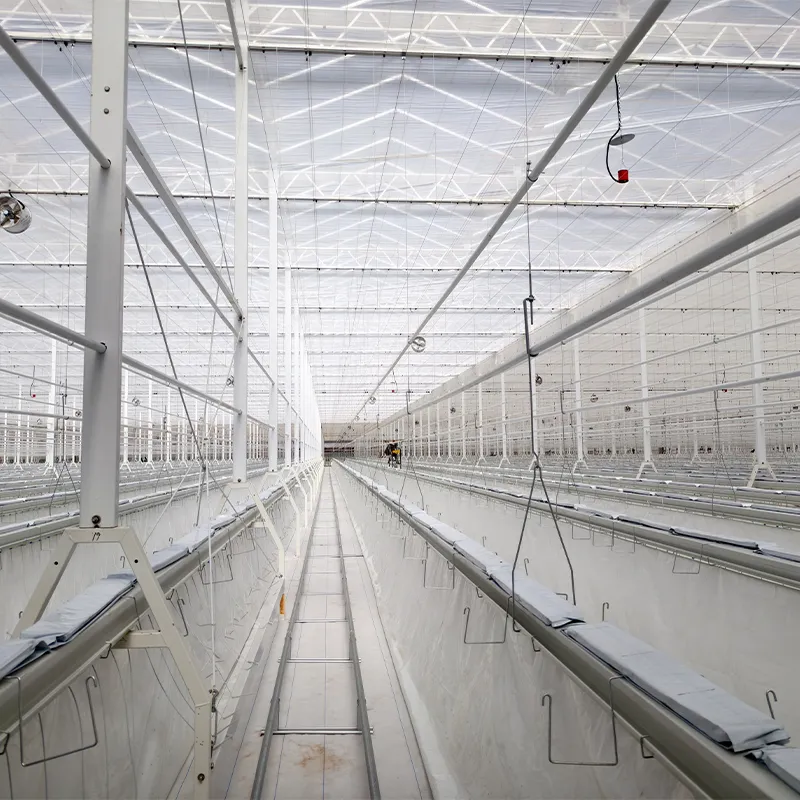 Полузакрытая теплица (5)