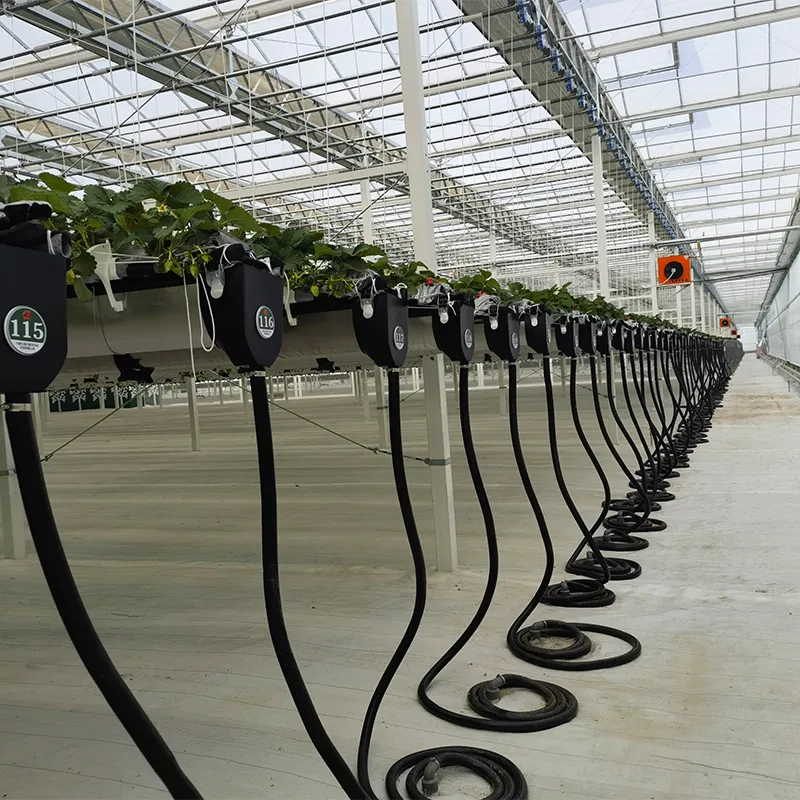 Различные типы теплиц для выращивания (3)