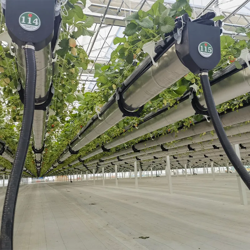 Различные типы теплиц для выращивания (4)