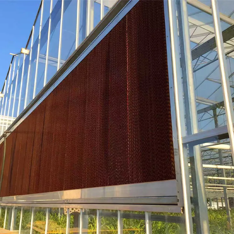 Система вентиляторов и влажных завес для теплиц (2)