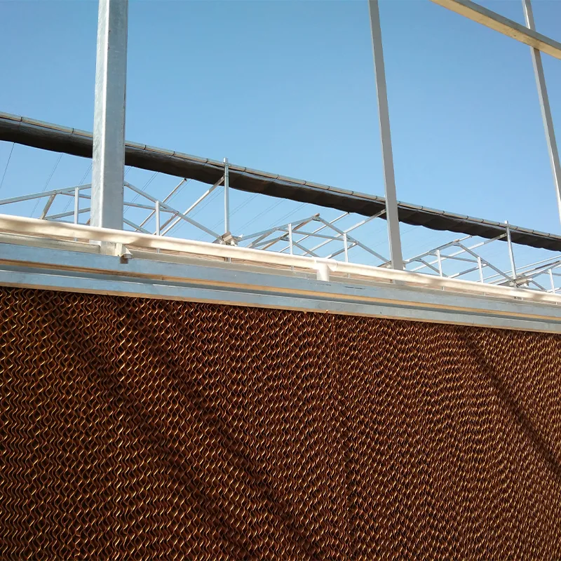 Система вентиляторов и влажных завес для теплиц (4)