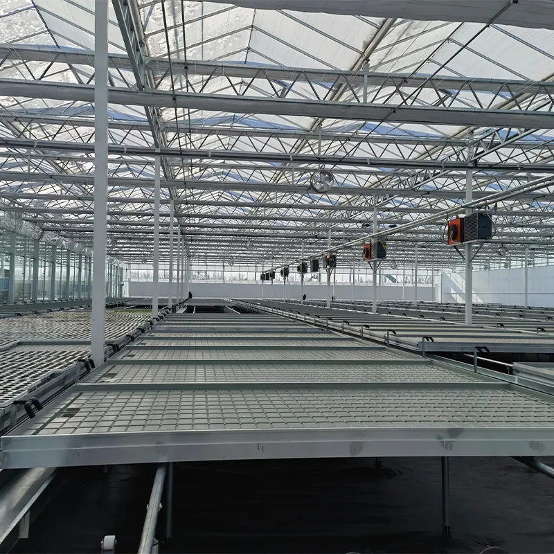 Система выращивания на стеллажах (2)