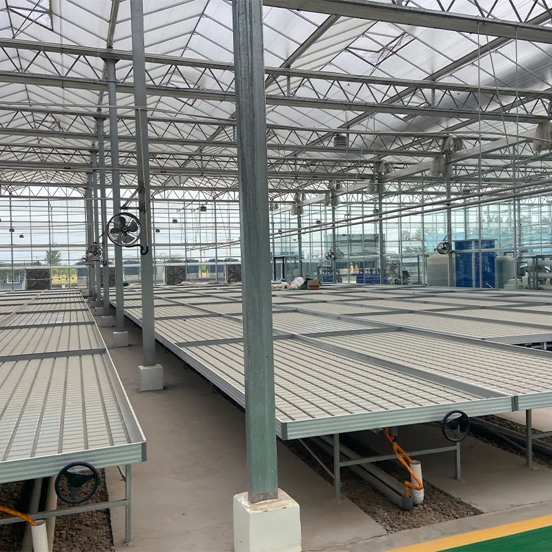 Система выращивания на стеллажах (3)