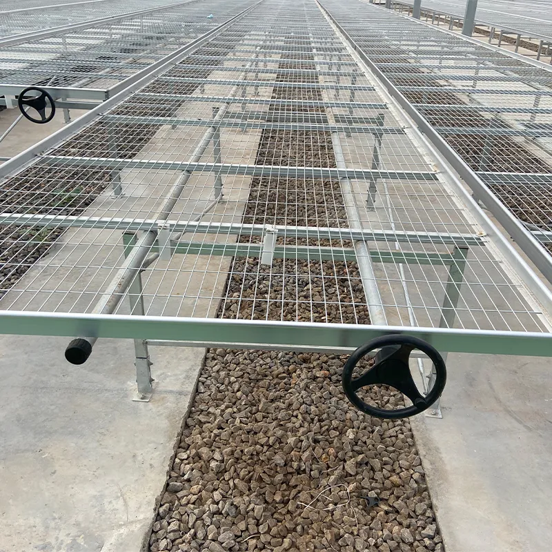 Система выращивания на стеллажах (4)