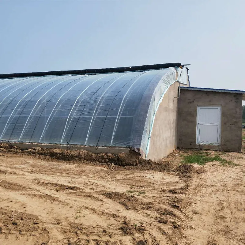 Солнечная теплица (2)