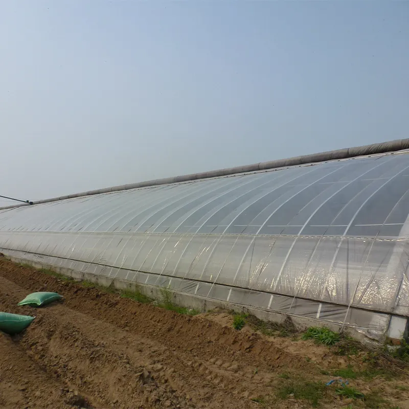 Солнечная теплица (3)