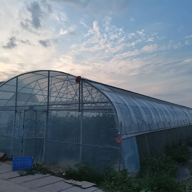 Стандартный одиночный парник (2)