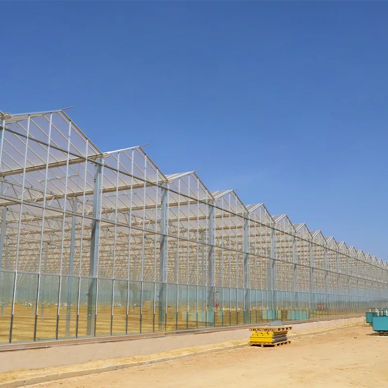 Стеклянная теплица с алюминиевым водостоком (2)