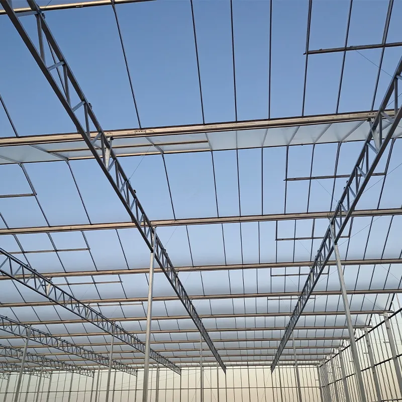 Стеклянная теплица с алюминиевым водостоком (4)