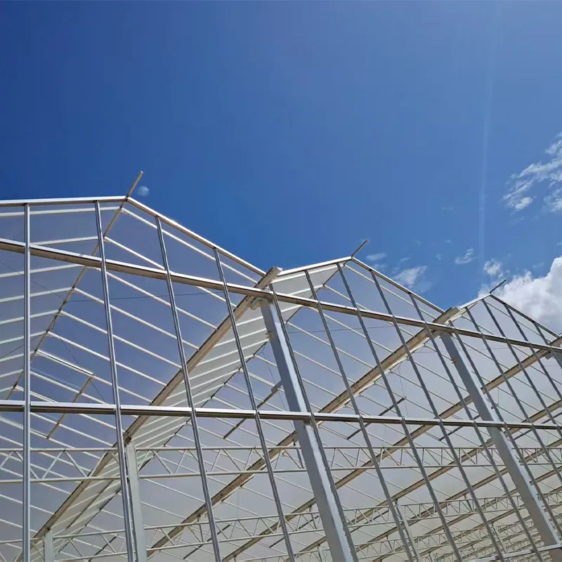 Стеклянная теплица с алюминиевым водостоком (5)