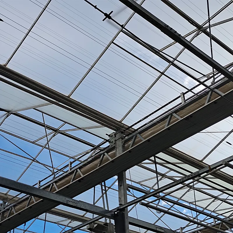 Стеклянная теплица с непрерывным продольным открыванием окон, выполненным по принципу крыльев бабочки (2)