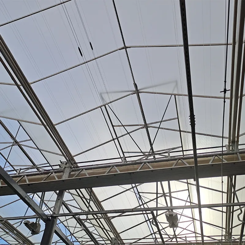 Стеклянная теплица с непрерывным продольным открыванием окон, выполненным по принципу крыльев бабочки (3)