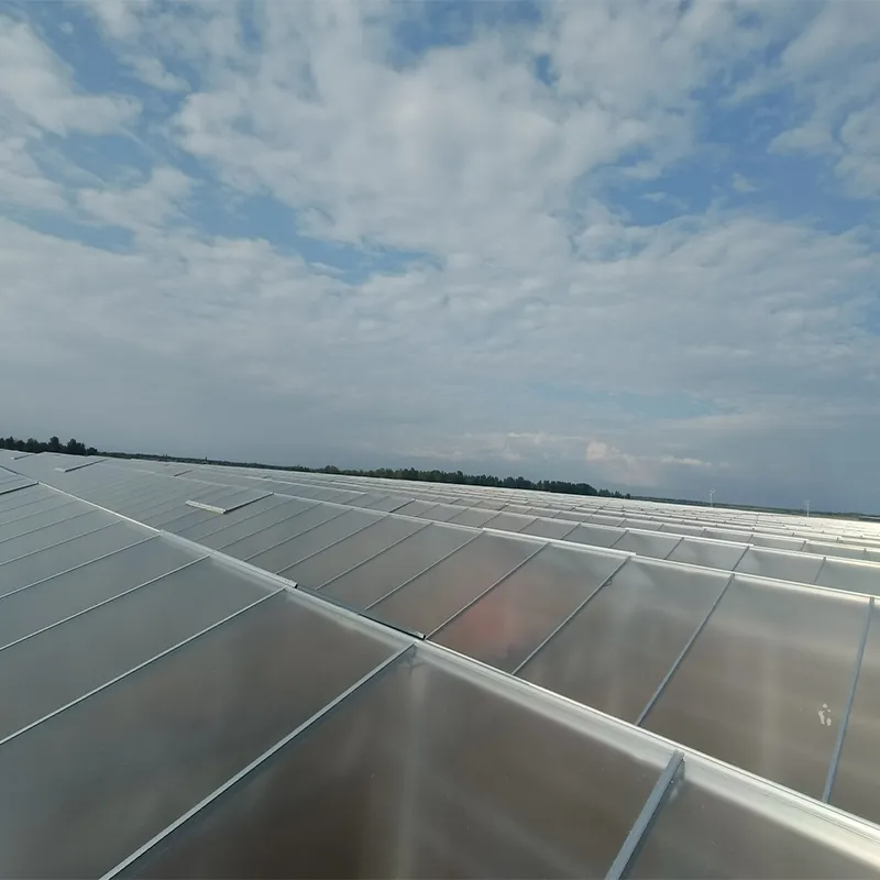 Стеклянная теплица со стальным водостоком (4)