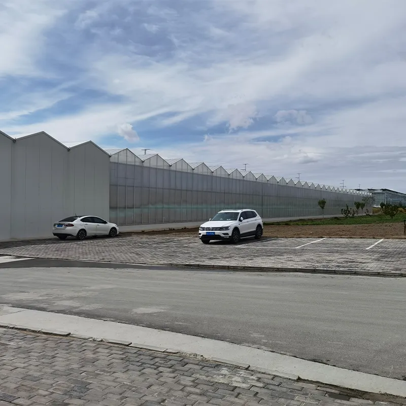 Стеклянная теплица со сэндвич-панелями (2)