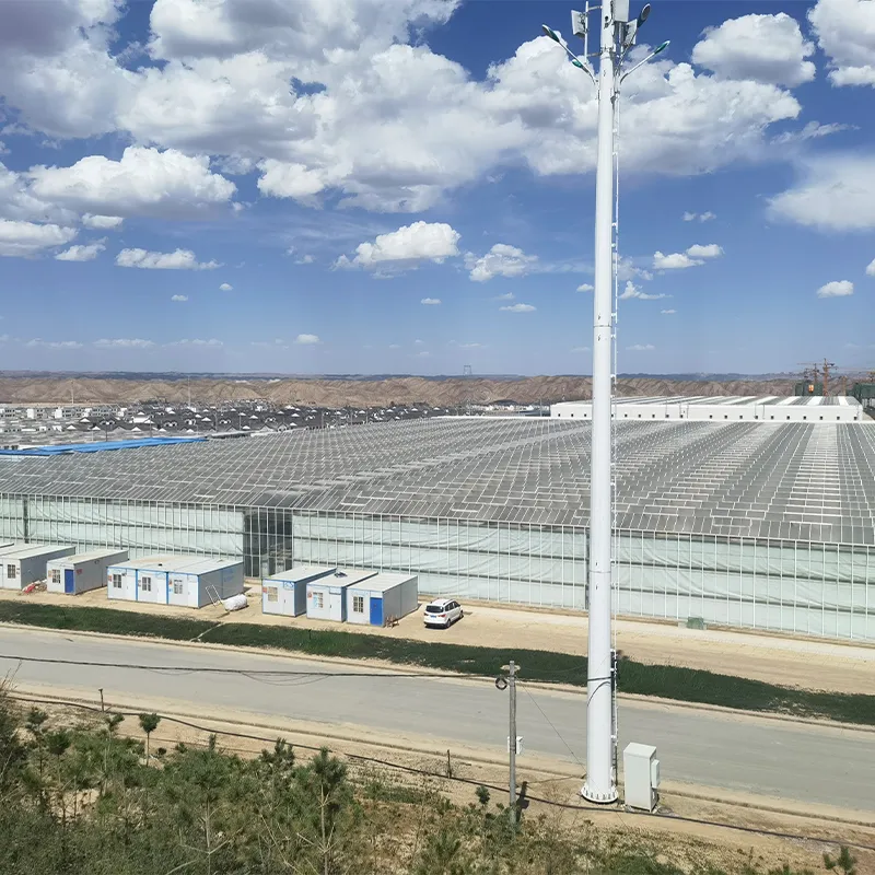 Стеклянная теплица со сэндвич-панелями (3)