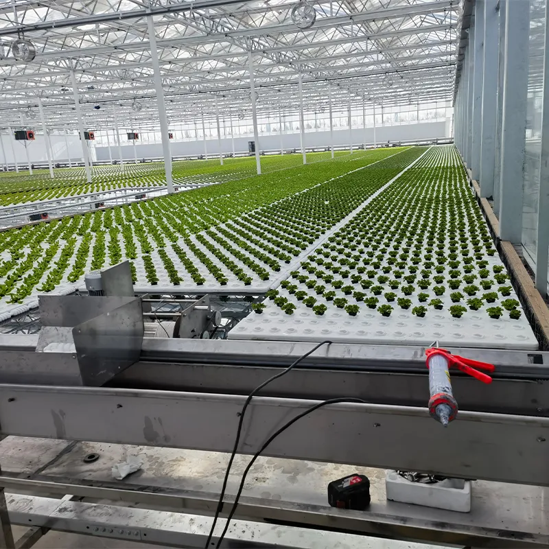 Теплица для выращивания рассады (3)