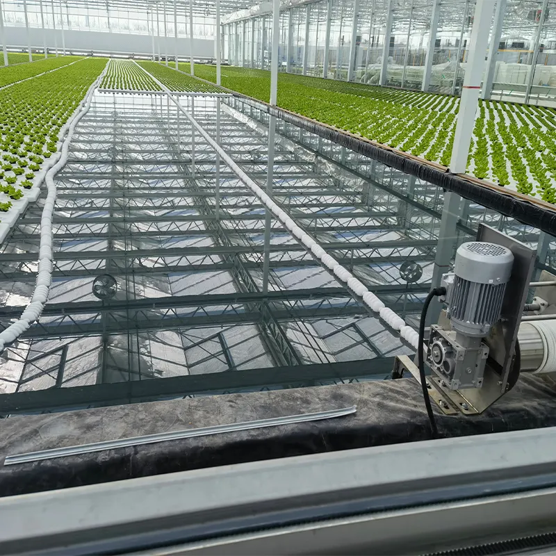 Теплица для выращивания рассады (4)