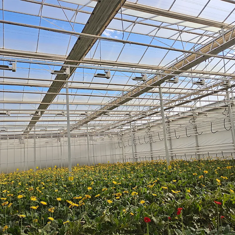 Теплица для выращивания цветов (3)