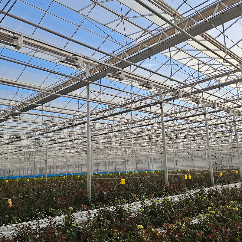 Теплица для выращивания цветов (4)