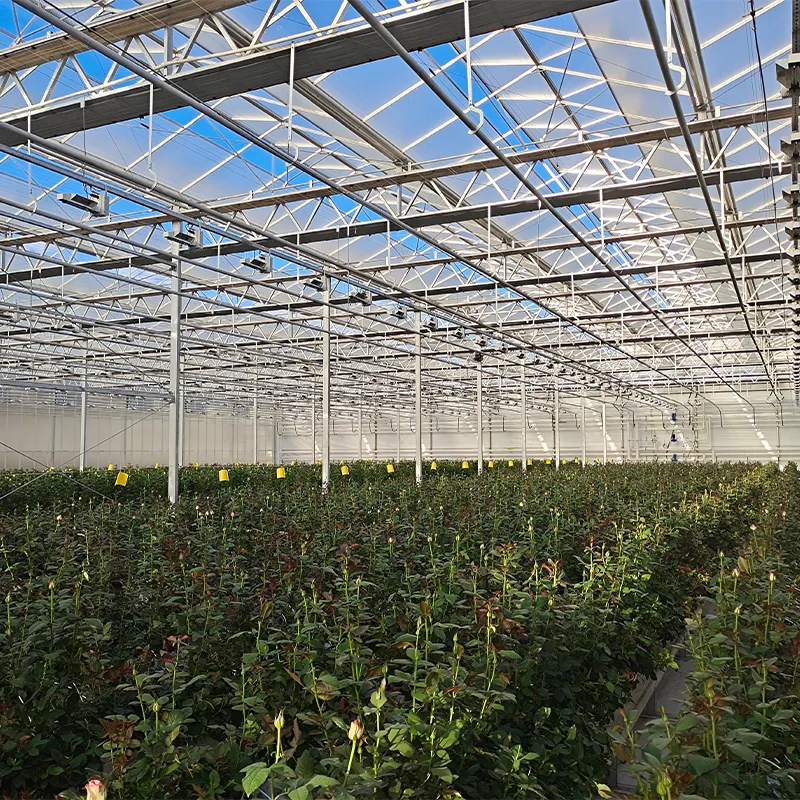 Теплица для выращивания цветов (5)