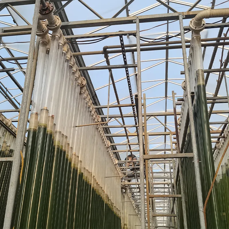 Теплица для микроводорослей (4)