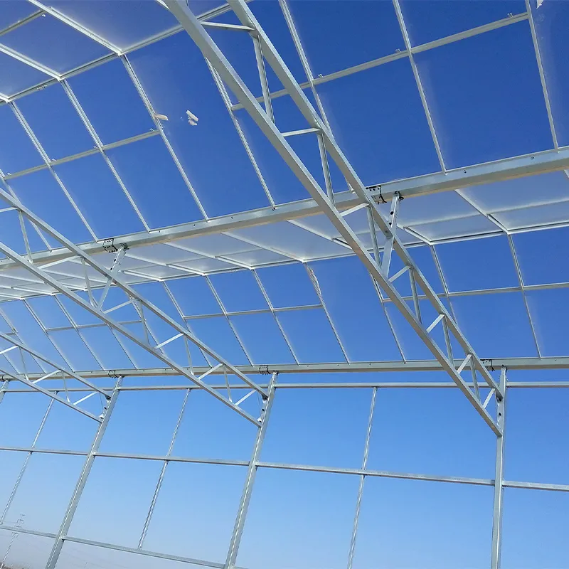 Теплица для микроводорослей (5)