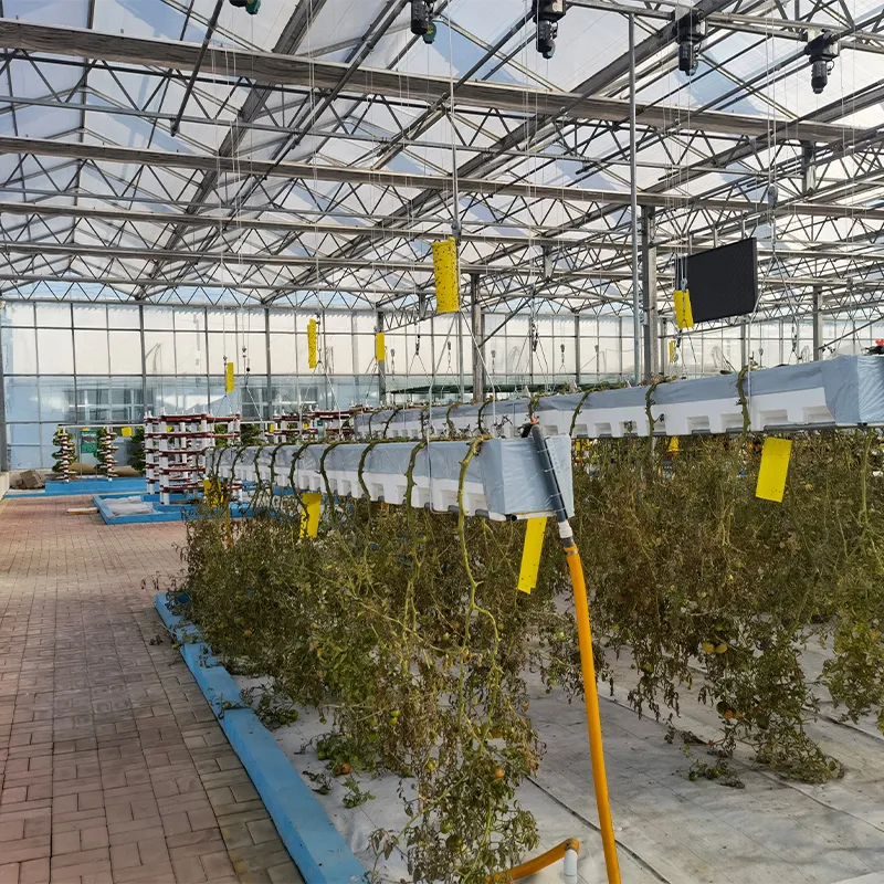 Теплица из сотового поликарбоната и стекла (2)