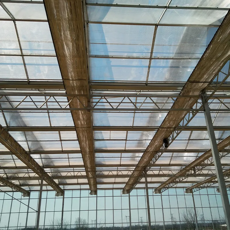 Теплица из сотового поликарбоната и стекла (4)