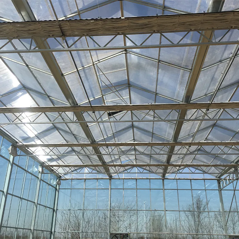 Теплица из сотового поликарбоната и стекла (5)