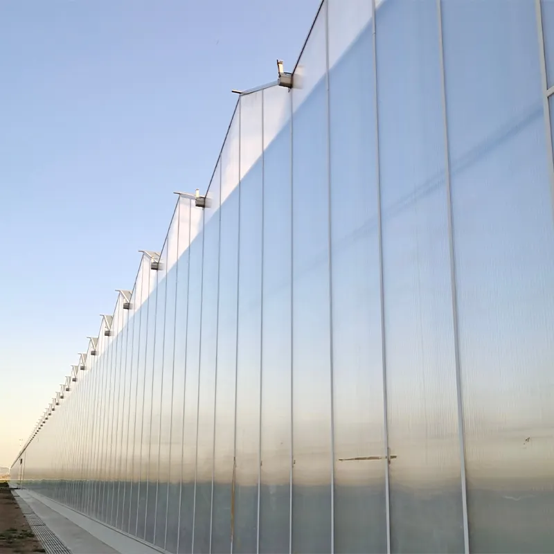 Теплица из сотового поликарбоната с алюминиевым водостоком (2)