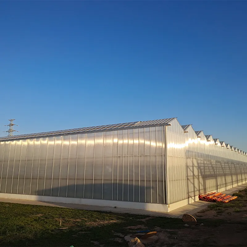 Теплица из сотового поликарбоната с алюминиевым водостоком (3)