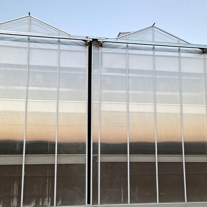 Теплица из сотового поликарбоната с алюминиевым водостоком (4)