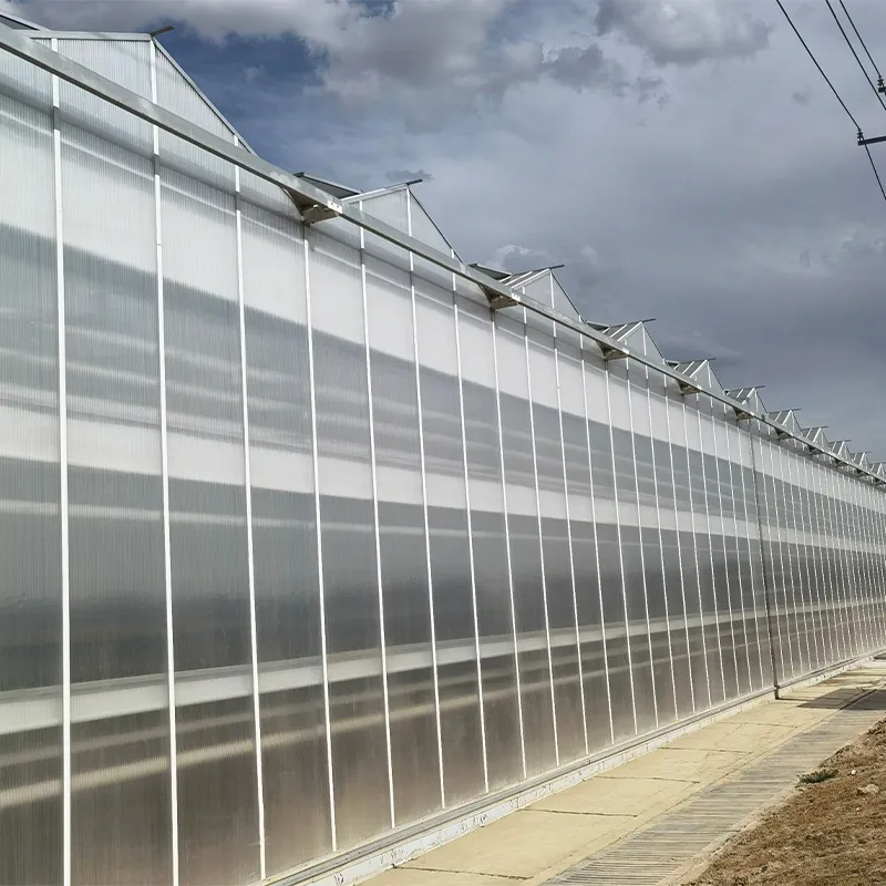 Теплица с установленной моечной машиной на крыше (2)