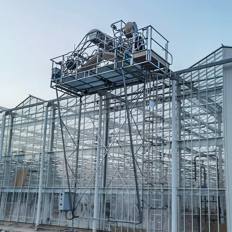 Теплица с установленной моечной машиной на крыше (3)