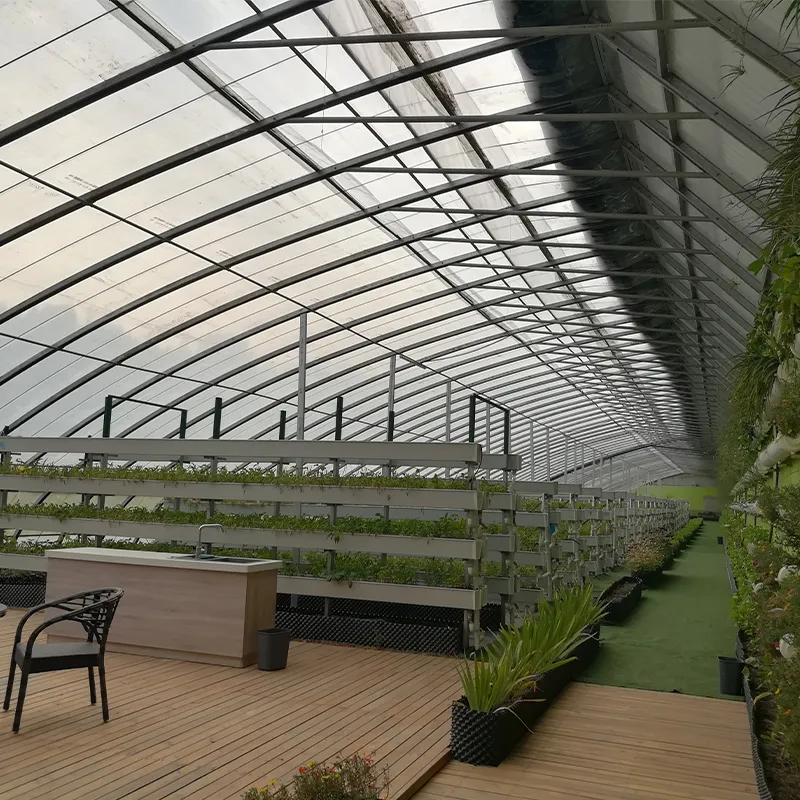 Туристическая солнечная теплица (3)