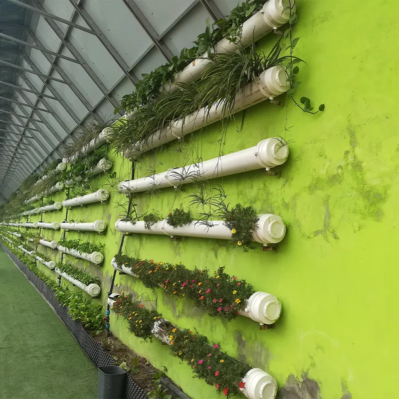 Туристическая солнечная теплица (4)