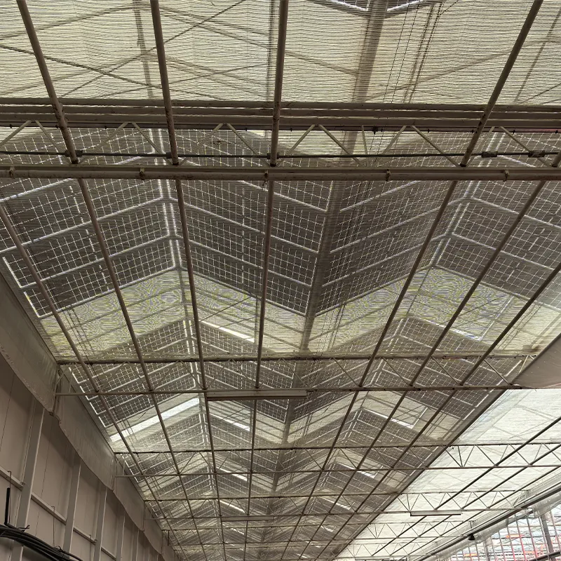 Фотоэлектрическая стеклянная теплица (2)