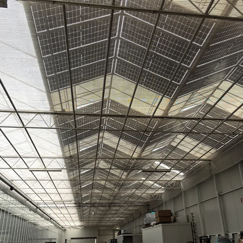 Фотоэлектрическая стеклянная теплица (3)